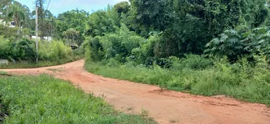 Terreno / Lote / Condomínio à venda, 1000m² no Pouso Alegre, Mairinque - Foto 3