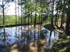 Fazenda / Sítio / Chácara com 5 Quartos à venda, 40000m² no Lageado, Porto Alegre - Foto 43