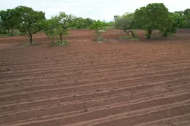 Fazenda / Sítio / Chácara à venda no Zona Rural, Acorizal - Foto 1