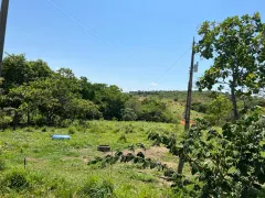 Fazenda / Sítio / Chácara com 4 Quartos à venda no Bezerra, Formosa - Foto 5