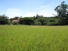 Fazenda / Sítio / Chácara à venda, 501m² no Martinica, Viamão - Foto 4