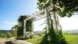 Fazenda / Sítio / Chácara com 38 Quartos à venda no Area Rural de Vitoria do Santo Antao, Vitória de Santo Antão - Foto 12