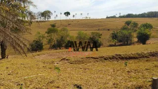 Fazenda / Sítio / Chácara à venda, 726000m² no , Anicuns - Foto 24