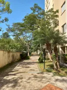 Apartamento com 3 Quartos à venda, 55m² no Jardim Boa Vista, São Paulo - Foto 41