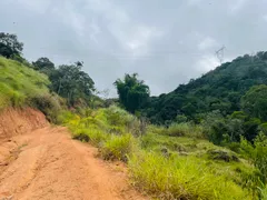 Fazenda / Sítio / Chácara com 2 Quartos à venda, 100m² no Varadouro, Jacareí - Foto 28