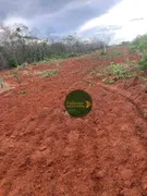 Fazenda / Sítio / Chácara com 4 Quartos à venda, 14800000m² no Zona Rural, Paranatinga - Foto 2