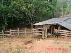 Fazenda / Sítio / Chácara com 3 Quartos à venda, 185440m² no Parapeúna, Valença - Foto 16