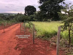 Fazenda / Sítio / Chácara com 3 Quartos à venda, 30312m² no Zona Rural, Gameleira de Goiás - Foto 20