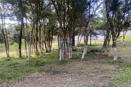 Terreno / Lote / Condomínio à venda, 1039m² no Borda do Campo, São José dos Pinhais - Foto 7