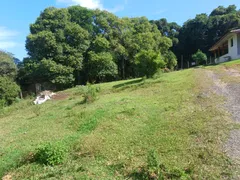 Fazenda / Sítio / Chácara com 1 Quarto à venda, 3200m² no Campina do Taquaral, São José dos Pinhais - Foto 3