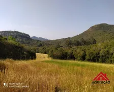 Fazenda / Sítio / Chácara com 1 Quarto à venda, 20000m² no Felpudo, Campo Largo - Foto 9