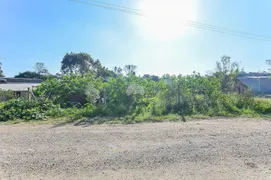 Terreno / Lote / Condomínio à venda, 1250m² no Planta Vila Irai, Piraquara - Foto 4