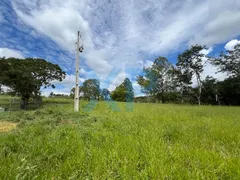 Fazenda / Sítio / Chácara com 3 Quartos à venda, 290m² no Zona Rural, São Sebastião do Oeste - Foto 60
