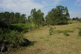 Fazenda / Sítio / Chácara à venda, 37000m² no Vila São José, Guaratinguetá - Foto 10