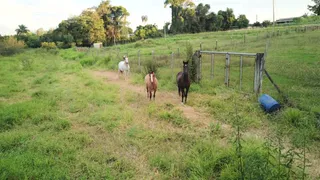 Fazenda / Sítio / Chácara com 3 Quartos à venda, 500m² no Rural, Limeira - Foto 17