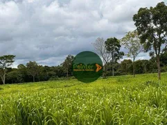Fazenda / Sítio / Chácara à venda, 4743200m² no Zona Rural, Formoso - Foto 1