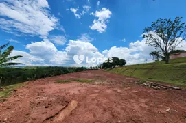 Fazenda / Sítio / Chácara com 2 Quartos à venda, 26890m² no Macuco, Valinhos - Foto 13