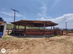 Fazenda / Sítio / Chácara com 2 Quartos à venda, 25000m² no Centro, Canelinha - Foto 17