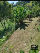 Fazenda / Sítio / Chácara com 3 Quartos à venda, 300m² no Valadares, Juiz de Fora - Foto 10