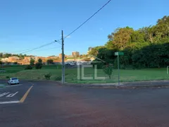 Terreno / Lote / Condomínio à venda, 250m² no Ideal, Londrina - Foto 10