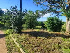 Fazenda / Sítio / Chácara com 3 Quartos à venda, 90000m² no Zona Rural, Glória do Goitá - Foto 15