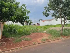 Terreno / Lote / Condomínio à venda, 360m² no Lancaster, Foz do Iguaçu - Foto 1