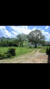 Fazenda / Sítio / Chácara com 5 Quartos à venda, 350m² no Zona Rural, Rio Preto - Foto 7