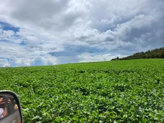 Fazenda / Sítio / Chácara à venda no Zona Rural, Itiquira - Foto 27