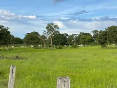 Fazenda / Sítio / Chácara à venda, 609m² no Zona Rural, Poconé - Foto 20
