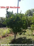 Fazenda / Sítio / Chácara com 1 Quarto à venda, 30000m² no Centro, Bom Jardim de Minas - Foto 8