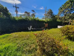 Fazenda / Sítio / Chácara com 4 Quartos à venda, 327m² no Parque Valinhos, Valinhos - Foto 37