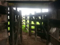 Fazenda / Sítio / Chácara com 1 Quarto à venda, 80000000m² no Zona Rural, Itiquira - Foto 32