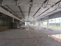 Conjunto Comercial / Sala para alugar, 16002m² no , Flores da Cunha - Foto 20