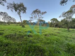 Fazenda / Sítio / Chácara com 2 Quartos à venda, 60m² no Zona Rural, São Sebastião do Oeste - Foto 32