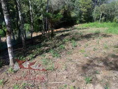 Fazenda / Sítio / Chácara com 2 Quartos à venda, 4400m² no Zona Rural, Mandirituba - Foto 15