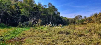 Fazenda / Sítio / Chácara com 4 Quartos à venda, 191000m² no Itapeti, Guararema - Foto 68