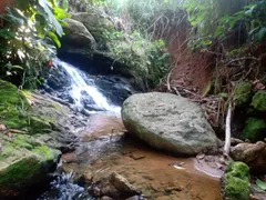 Fazenda / Sítio / Chácara com 2 Quartos à venda, 7500m² no Comunidade Urbana de Rio Grande, Guarapari - Foto 8