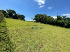 Fazenda / Sítio / Chácara à venda, 2000m² no Zona Rural, Cascavel - Foto 1