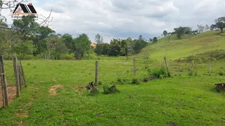 Fazenda / Sítio / Chácara com 2 Quartos à venda, 200m² no Zona Rural, Tuiuti - Foto 4