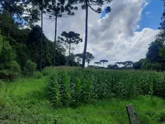 Terreno / Lote / Condomínio à venda no Contenda, São José dos Pinhais - Foto 7