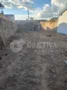 Terreno / Lote / Condomínio à venda, 330m² no Presidente Roosevelt, Uberlândia - Foto 2