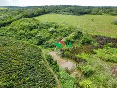 Fazenda / Sítio / Chácara com 3 Quartos à venda, 100m² no Centro, Alagoa Nova - Foto 8