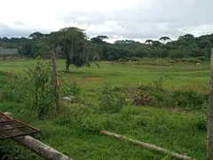 Fazenda / Sítio / Chácara à venda, 6500m² no Cachoeira, São José dos Pinhais - Foto 8