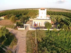 Fazenda / Sítio / Chácara com 3 Quartos à venda, 57000m² no Centro, Crisópolis - Foto 1