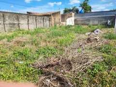 Terreno / Lote / Condomínio à venda, 375m² no Setor Coimbra, Goiânia - Foto 3