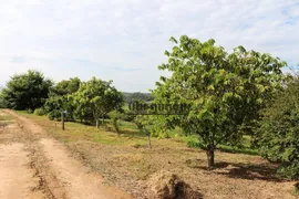 Fazenda / Sítio / Chácara com 3 Quartos à venda, 200m² no Pinheirinho, Itu - Foto 31