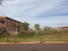 Terreno / Lote / Condomínio à venda, 251m² no Olimpico, Londrina - Foto 3