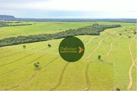 Fazenda / Sítio / Chácara à venda, 60000000m² no Centro, Guiratinga - Foto 9
