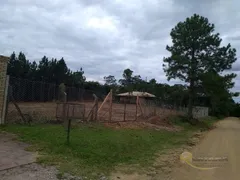 Terreno / Lote / Condomínio à venda no Aberta dos Morros, Porto Alegre - Foto 10