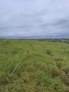 Fazenda / Sítio / Chácara com 3 Quartos à venda, 20000m² no Zona Rural, Monte Alegre - Foto 15